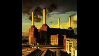 Video thumbnail of "Pink Floyd - Pigs (Three different Ones)"