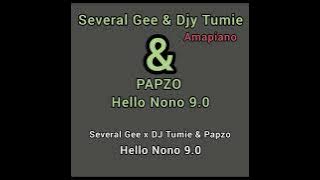 Several Gee x Djy Tumie & Papzo_Hello Nono 9.0
