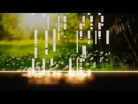 【ピアノ】 愛NEED - Room Of King Piano【Piano】