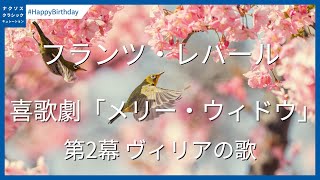 オペラへの招待 レハール作曲 オペレッタ メリー・ウィドウ 全3幕 日本語上演 日本語・英語字幕付 公演・イベント 滋賀県立芸術劇場