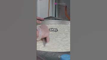 The Art of Cheese Making: Fresh Milk to Aged Delicacies #CheeseLovers #DairyScience #FoodExplained