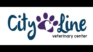 City Line Veterinary Center Video Tour