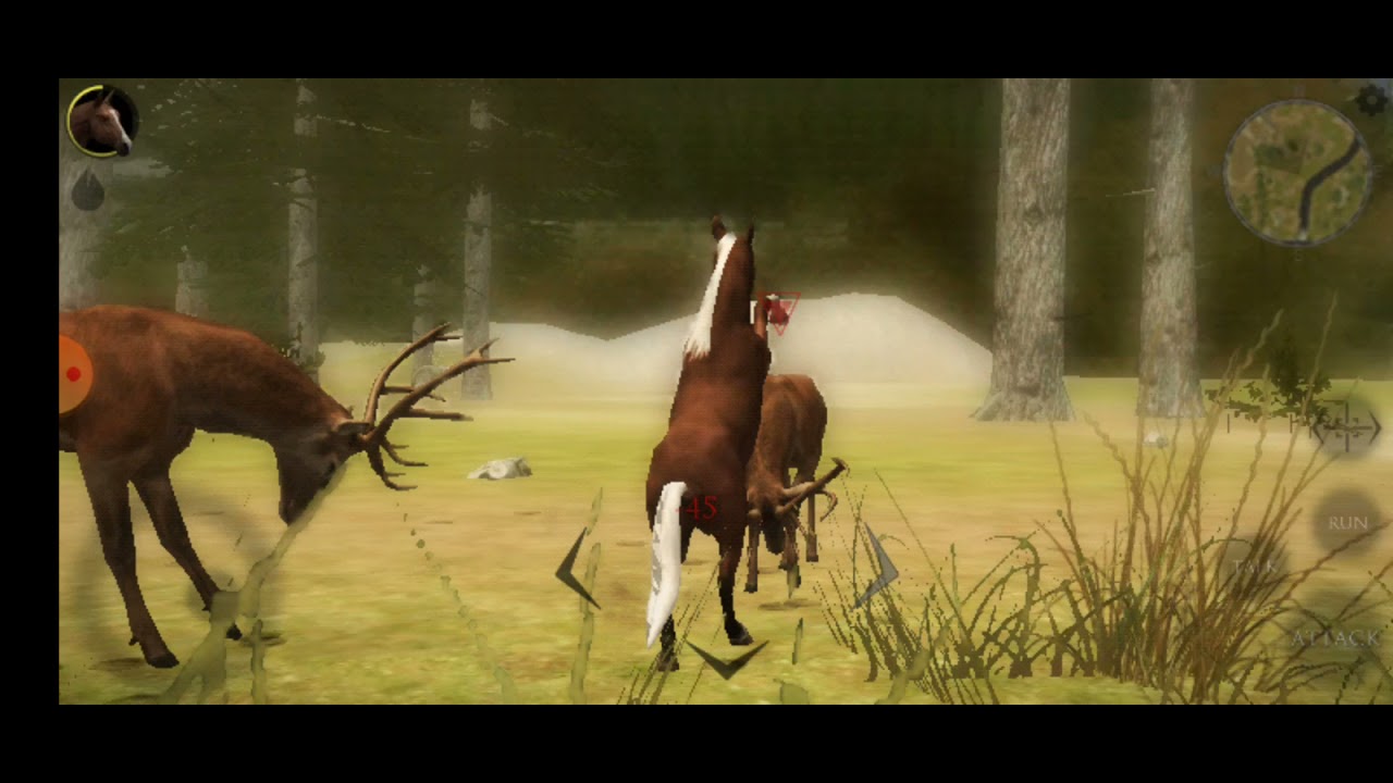 Horse vs Bear,Lynx, Deer,Boar,Strock,Ultimate Horse Simulator 2. YouTube