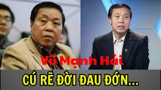 SỰ THẬT ĐẰNG SAU SCANDAL KHIẾN HUYỀN THOẠI VŨ MẠNH HẢI PHẢI THỐT LÊN: MÌNH NGU THÌ MÌNH CHẾT THÔI…