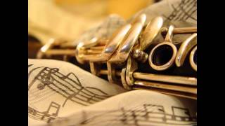 weber intro theme and variataions brooke jackson clarinet uf clarinet florida