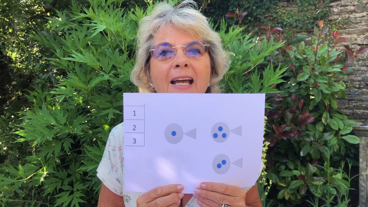 Activity 3 - Counting with fish - YouTube