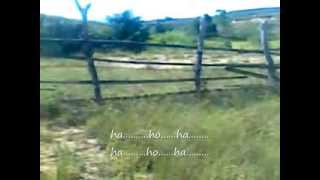 Download Lagu Tapsel Haholongan \ MP3