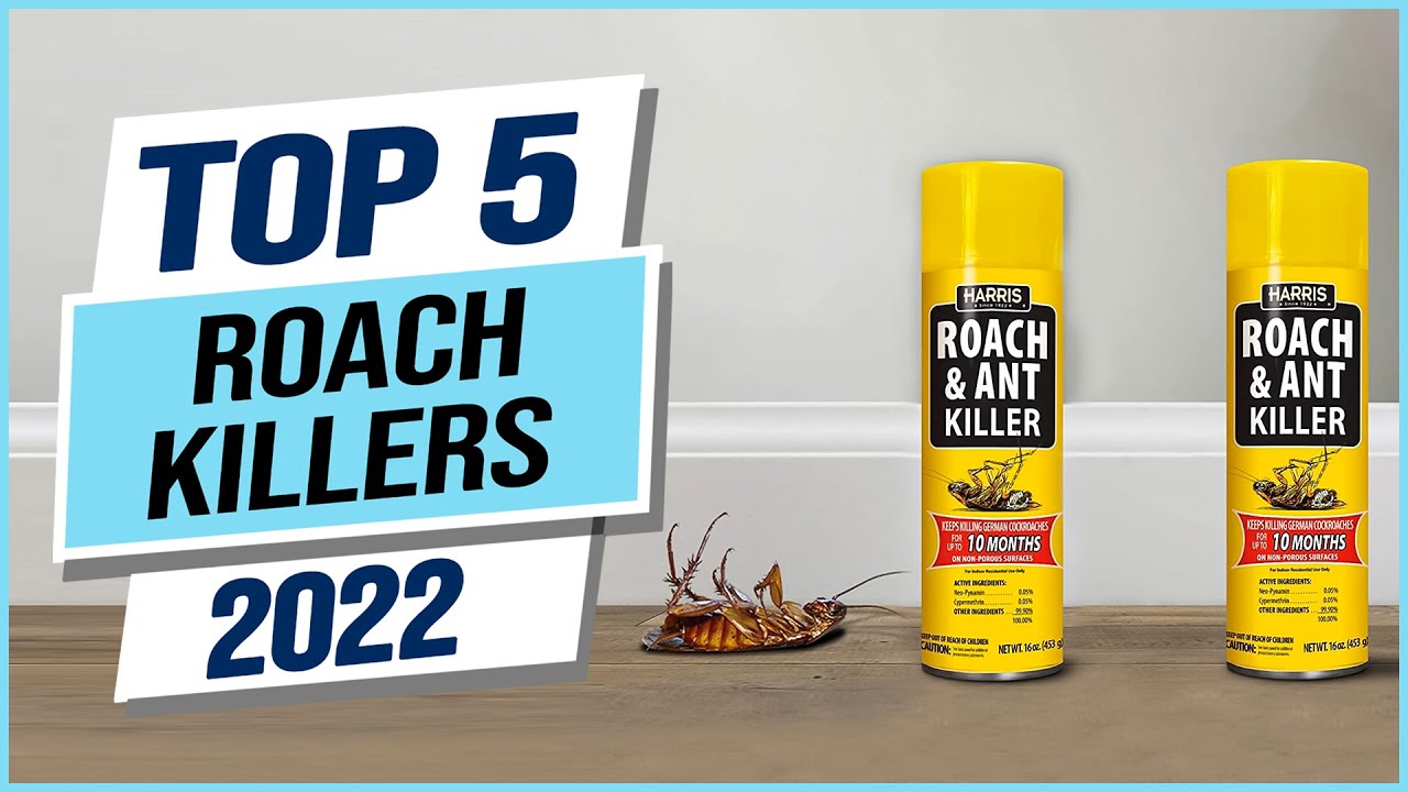 The 5 Best Roach Killers of 2024
