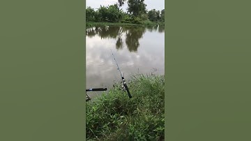 Câu cá Long An,Cần Giuộc