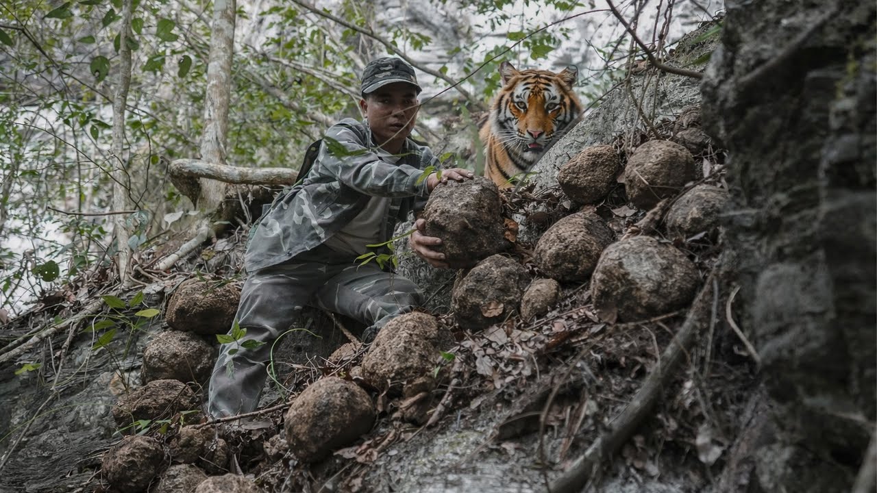 The man faced danger while climbing the mountain in search of rare medicinal herbs