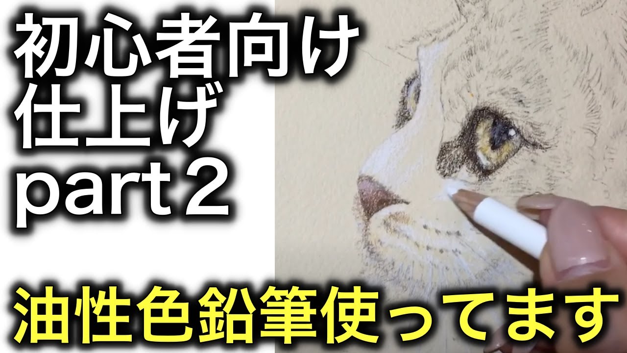 初心者向け 猫の描き方 色鉛筆で可愛い猫の絵を簡単に描こう 下絵から顔まで 猫と絵画と