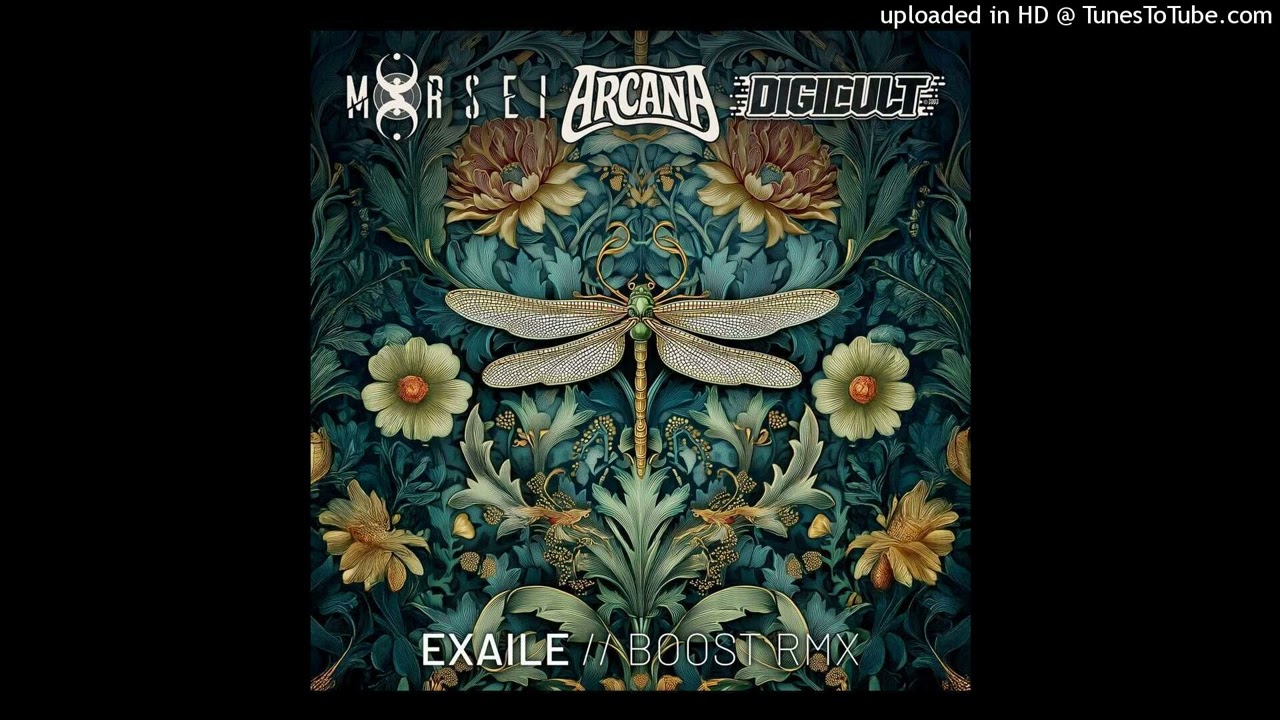 Exaile - Boost ( Arcana , Digicult & MoRsei Rmx )