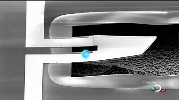 Curiosity - Andrew Cleland