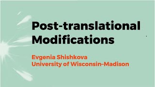 Post-translational Modifications with Evgenia Shishkova, 2021