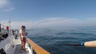 New Seaforth Half Day AM Trip