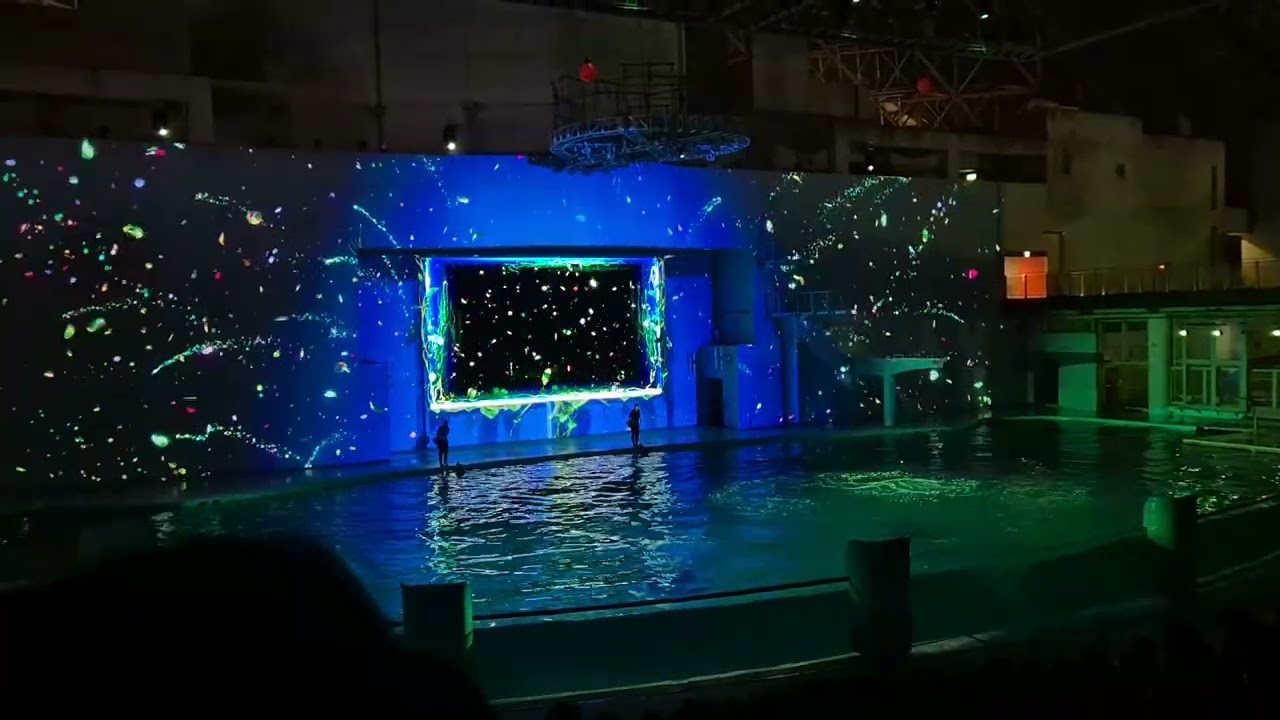 Hakkeijima Aquarium - night show