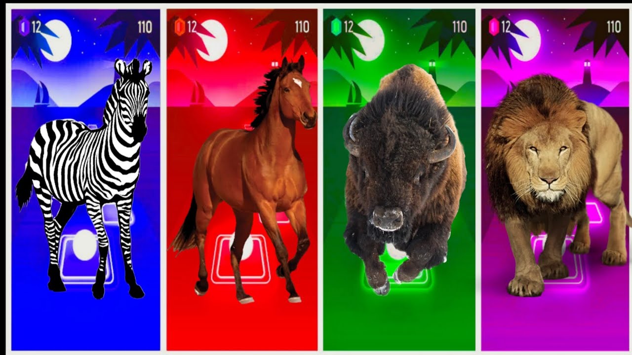 Animals tiles hop Game 💥🌍 Zebra go Horse 🐎🆚 go Bison go Lion go Game 💥#tileshopedmrush #coffindance 