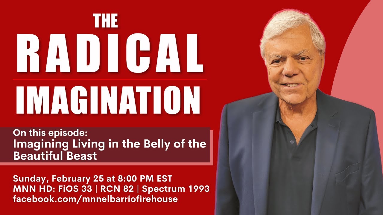 The Radical Imagination | Imagining Living in the Belly of the Beautiful Beast