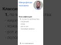 Микрофлора человека