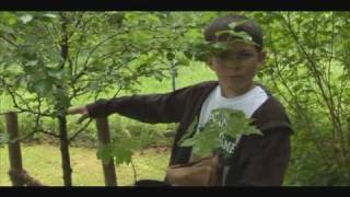 Young Voices On Climate Change - Plant For The Planet