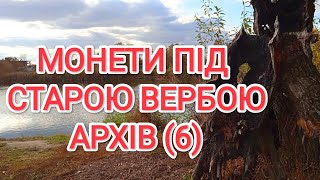 Монети під старою вербою. Архів(6)