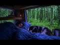 Relaxing Rain in a Warm Car 🚗 Gentle Thunderstorm Sounds for Deep Sleep 💤