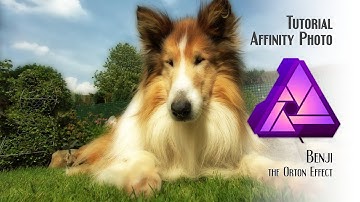 Photo Tutorial - Benji | Orton Effect [Affinity Photo]