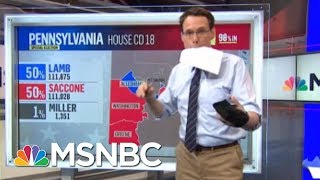 This Is A Golden Retrieval. | Steve Kornacki | MSNBC