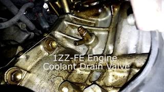 Mechanics: Toyota Corolla 2003-2008 Coolant Drains