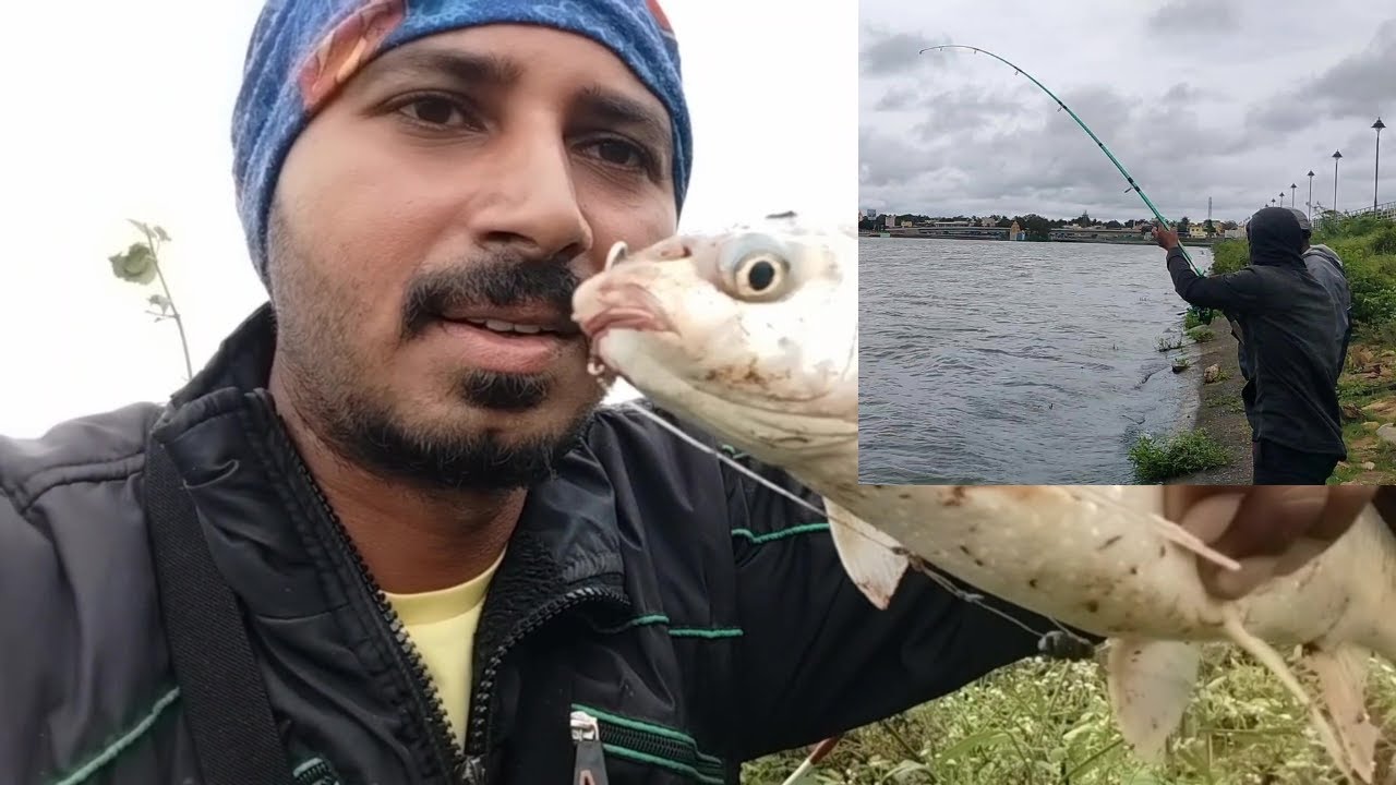 float fishing rahoo mirgal catfish  