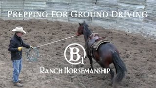 Prepping A Horse For Ground Driving