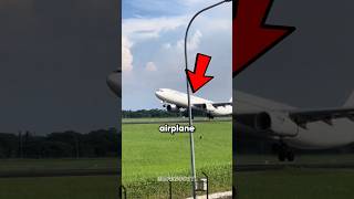 3 Largest Passenger Planes in the World 🌍✈️