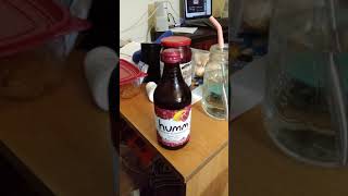 Humm Pomegranate Lemonade Kombucha Review Humm Pomegranate Lemonade Kombucha Review