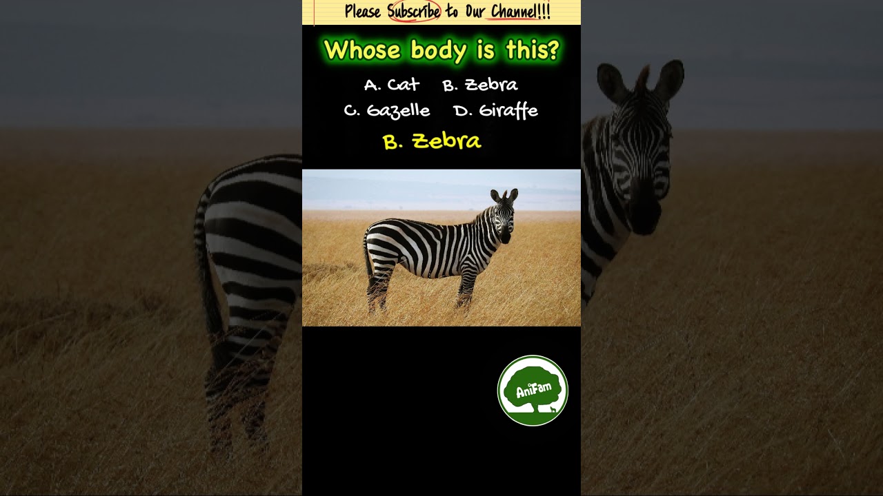 AniFam Quiz | Whose body is this? (01) 