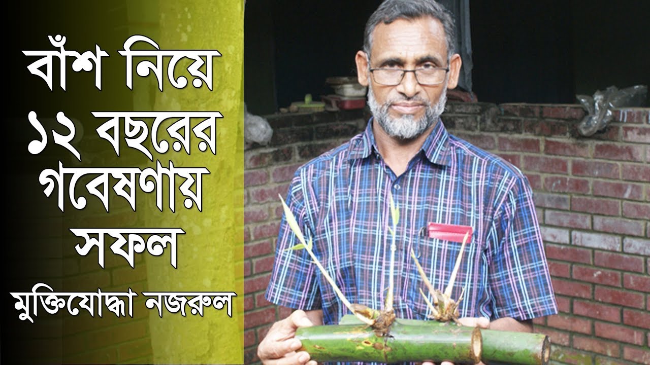 বাঁশ নিয়ে ১২ বছরের গবেষণায় সফল মুক্তিযোদ্ধা নজরুল | Jagonews24.com