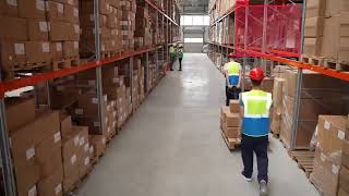 Master Data Annotation for Images & Videos: The Ultimate Services for AI & ML Projects | Wisepl