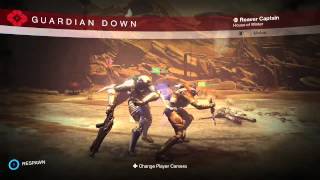Destiny Ultimate Tea Bag