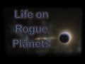 Habitable Planets 4: Life on Rogue Planets