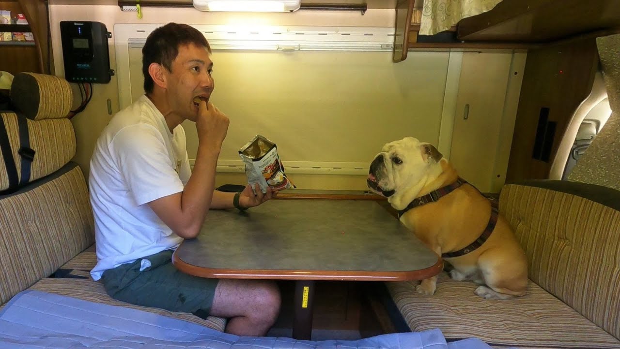 ぶるまる&パパの夏休み５分で終了のお知らせです…