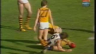 1978 VFL Grand Final Hawthorn Vs North Melbourne The Winners Highlights  Hawks by 18 points