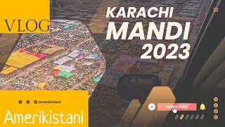 Karachi Cattle Mandi 2023: A Must-See Event for Animal Lovers