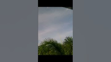 Light clouds and a palm #timelapsevideos #timelapse #cloudlapse #clouds #skylapse #skytimelapse