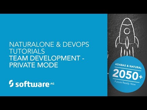 NaturalONE & DevOps Tutorials -Team Development - Private Mode