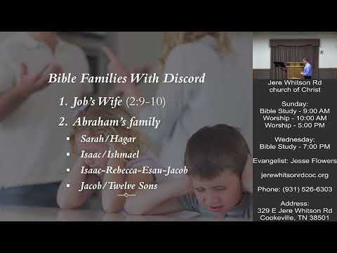 Video preview