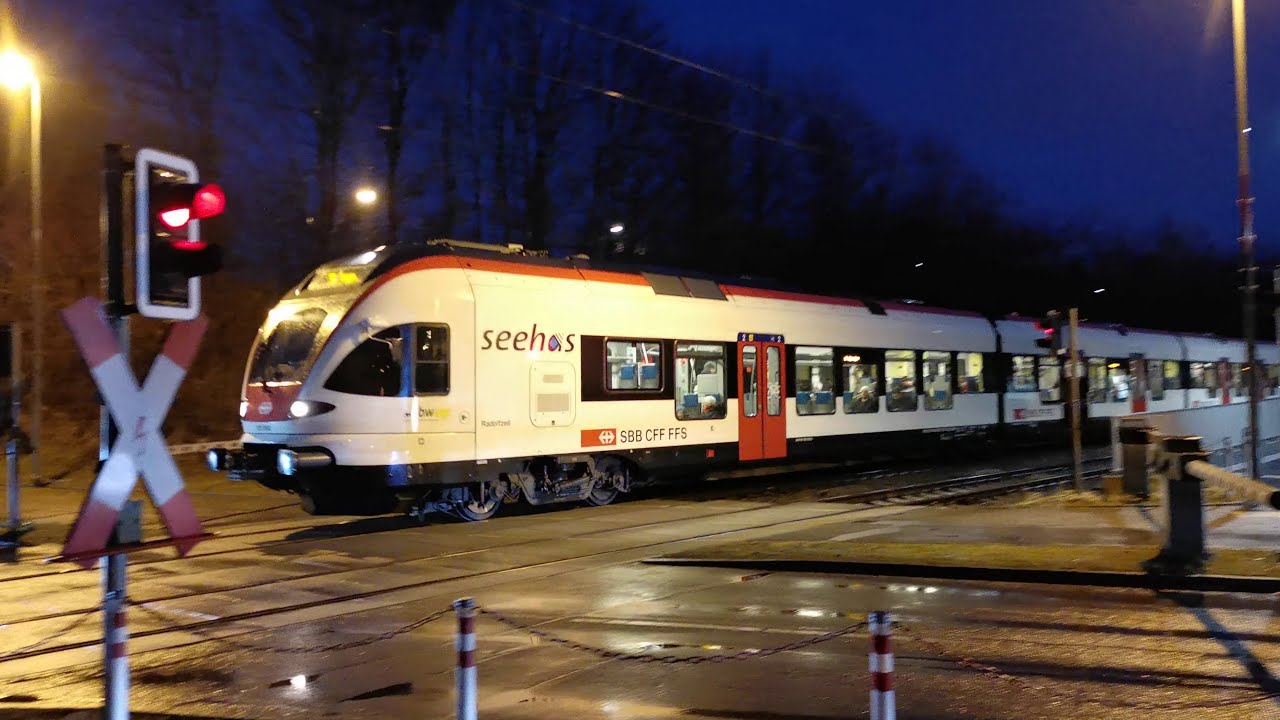 Störung am Bahnübergang beim Haltepunkt Wollmatingen | Züge müssen stoppen | RE mit Pfiff ⚠️