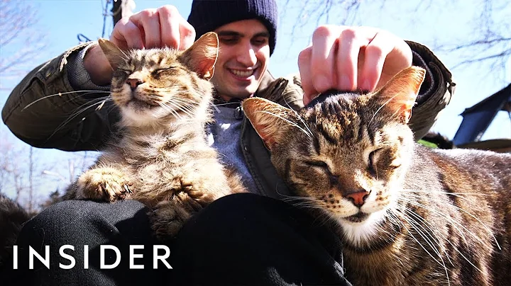 Meet The Man Whos Turned His Home Into A Sanctuary...