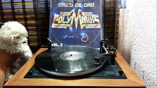 Polymarchs Disco de Oro Vol 2  (Lado B)