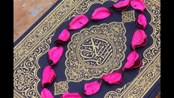 قرآن كريم بصوت القارئ معاذ العيد  أجمل حالات واتس اب دينيه 🖤  ماتيسر من سوره النمل