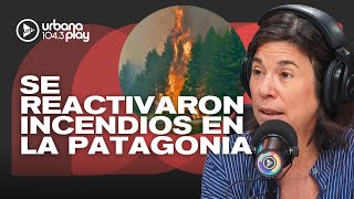 LOS INCENDIOS EN LA PATAGONIA SE REAVIVAN POR ALTAS TEMPERATURAS: "Es inédita la falta de apoyo"