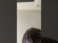 Writing process part XXII: Our teams unite… # AI song.